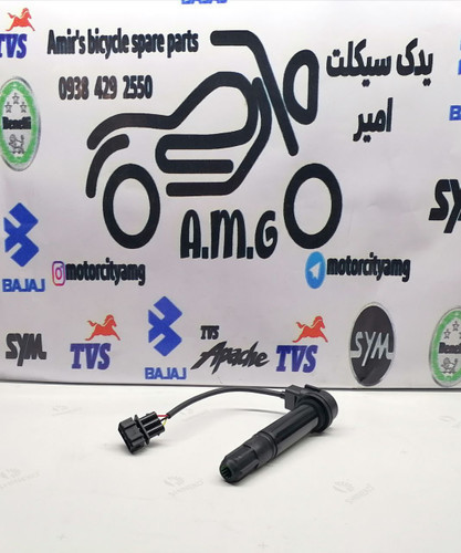 کوئل موتور بنلی ۳۰۰ دو سیلندر